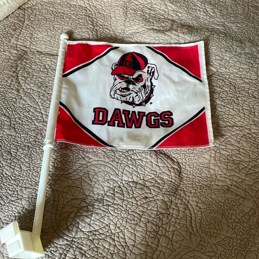 Georgia car flag